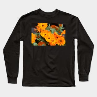 Pot marigold Long Sleeve T-Shirt